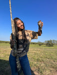 Dove Hunt