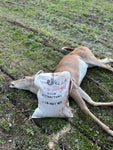 Doe Hunt
