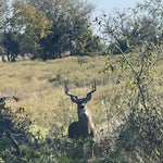 Buck Hunt