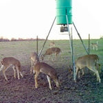 Doe Hunt