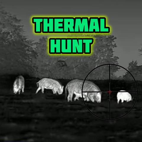 Thermal Night Hog Hunt