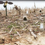 Mojo Outdoors Dove Flickers - PuroPincheCast&Blast Outfitters
