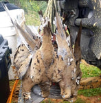 The Dove Cord - PuroPincheCast&Blast Outfitters